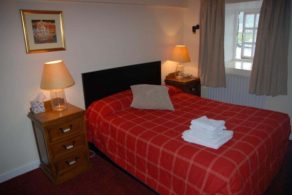 Waterside Guesthouse Graiguenamanagh Exterior foto